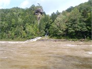 LowerGauley1