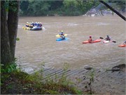 LowerGauley4