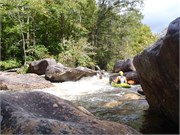 MiddleCranberry16