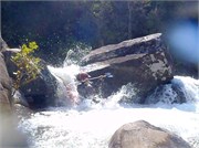 Gauley124
