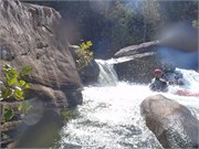 Gauley126