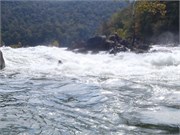 Gauley147