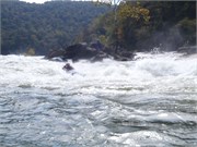 Gauley148