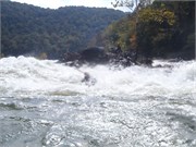 Gauley153
