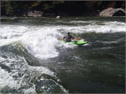 Gauley231