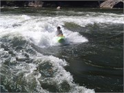Gauley294