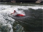 Gauley313