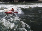 Gauley329