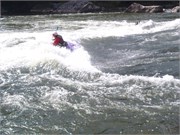 Gauley36