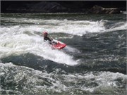 Gauley99