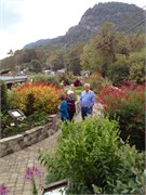 LakeLure5