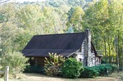 Tryon13