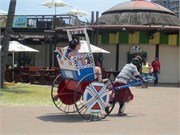 36343_DurbanC