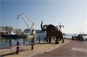 CapeTown1