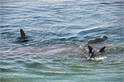 CapeTown5