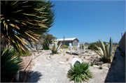 RobbenIsland17