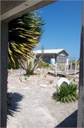 RobbenIsland22