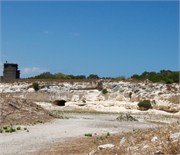 RobbenIsland27