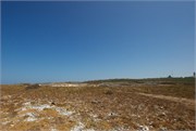 RobbenIsland30