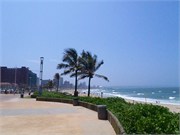 Durban47