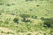 Hluhluwe11