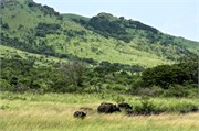 Hluhluwe18