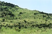 Hluhluwe26