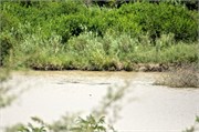 Hluhluwe28