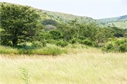 Hluhluwe5