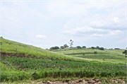 RichardsBay17