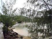 PraslinSeychelles6