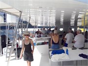 CerfIsland21