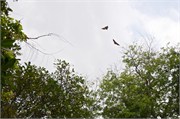 MaleMaldives15