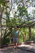 Phuket12