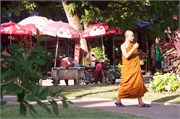 Phuket49