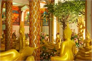Phuket53