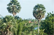 Phuket56