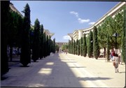 Montpellier_12