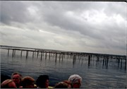 Sete_14