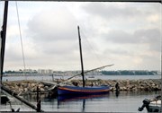 Sete_5