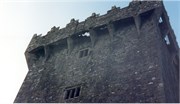 BlarneyCastle_15