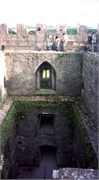 BlarneyCastle_19