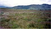 Ireland17