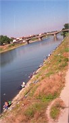 Florence_40
