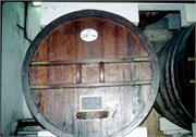 AvignonRhoneR_23