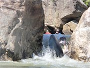 Chattooga06252014__50