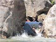 Chattooga06252014__51