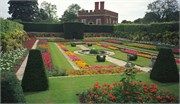 HamptonCourt_7