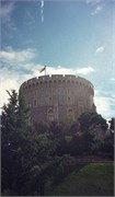 Windsor_6
