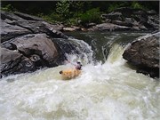 7FootFalls06252014__31